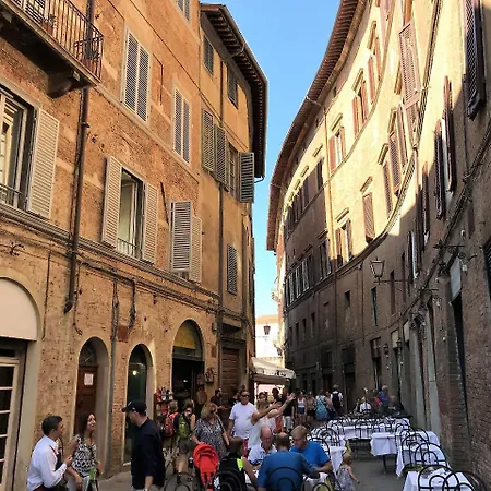 The Blue Lodge-cozy Flat Close To Piazza Del Campo